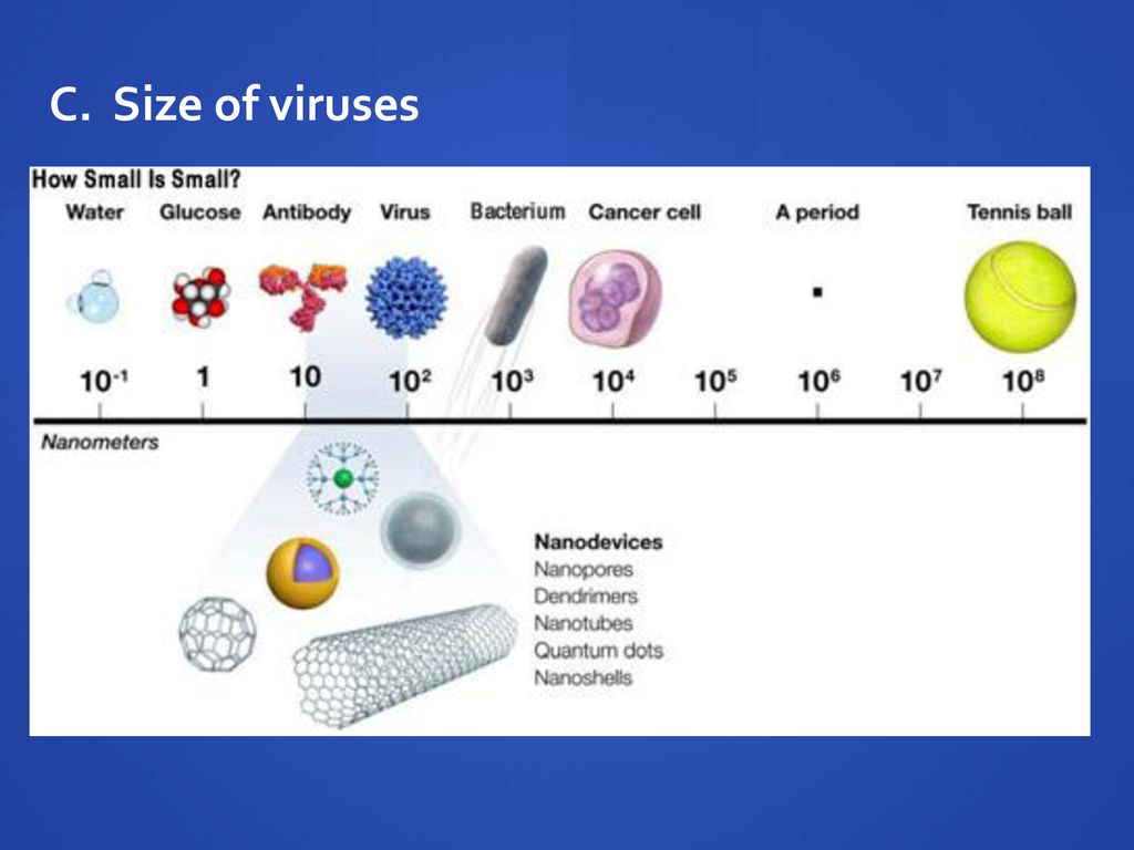 Viruses Chapter 18 Continued. ppt download