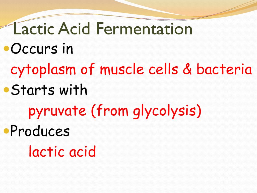 Cell Energy. - Ppt Download