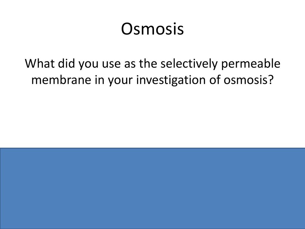 Experiment Questions Osmosis. ppt download