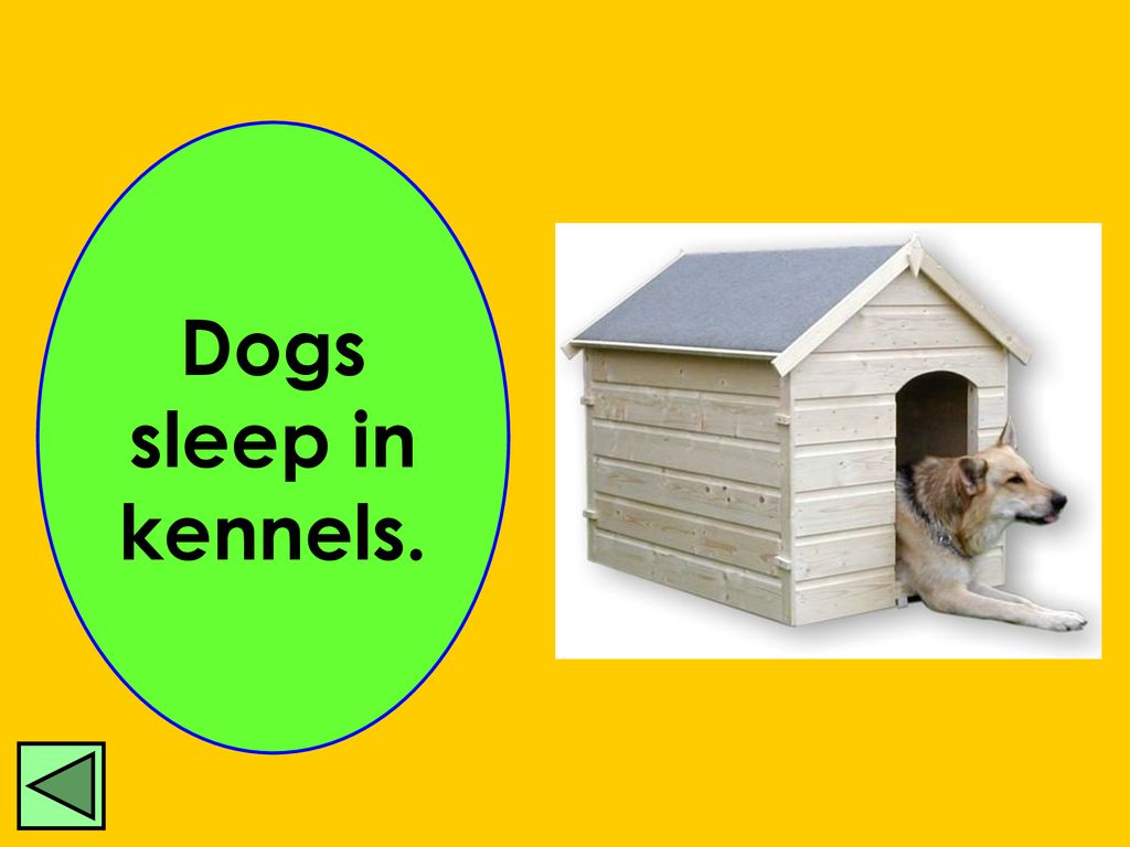 Animal Homes Animals Homes. - ppt download