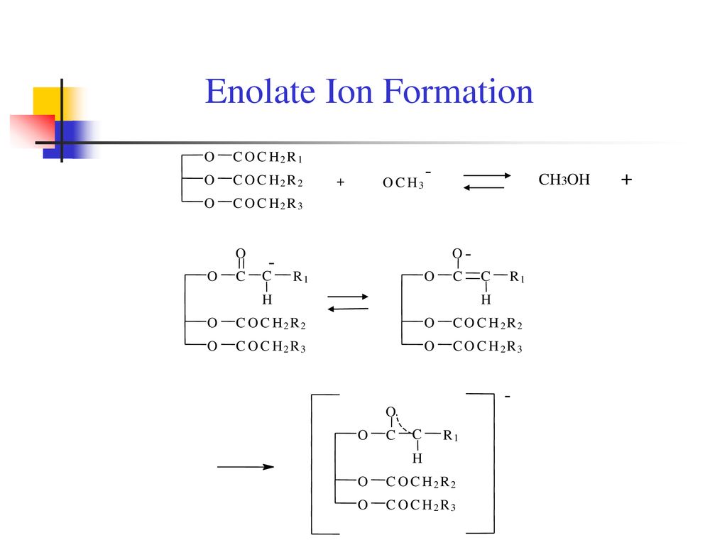 Interesterification Ppt Download