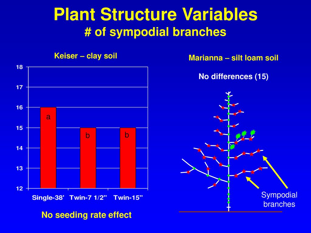 Plant Structure Variables # of sympodial branches