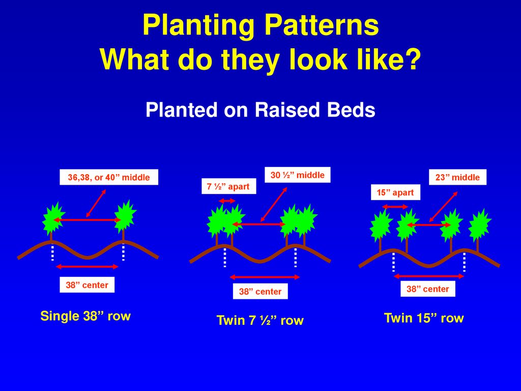 Planting Patterns What do they look like