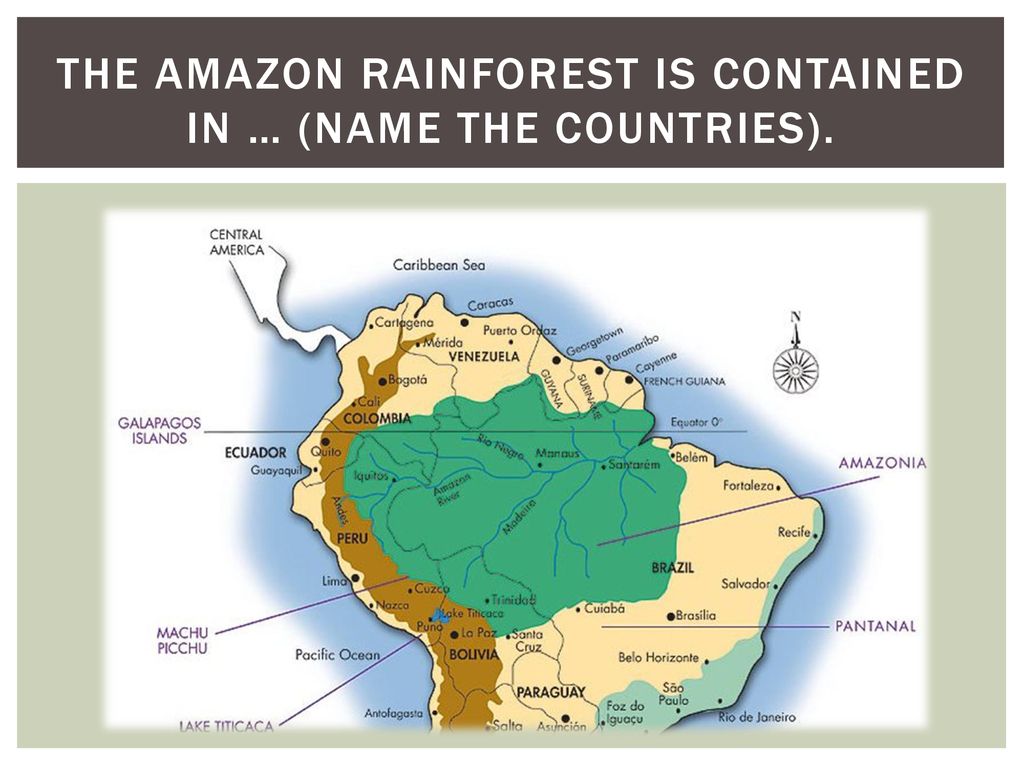 The Causes Of Deforestation In The Amazon Ppt Download The Causes Of Deforestation In The Amazon Ppt Download