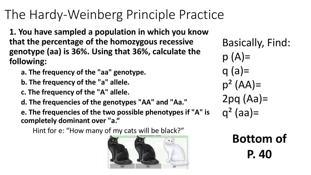 Biozone None Text Digital Text None Ppt Download