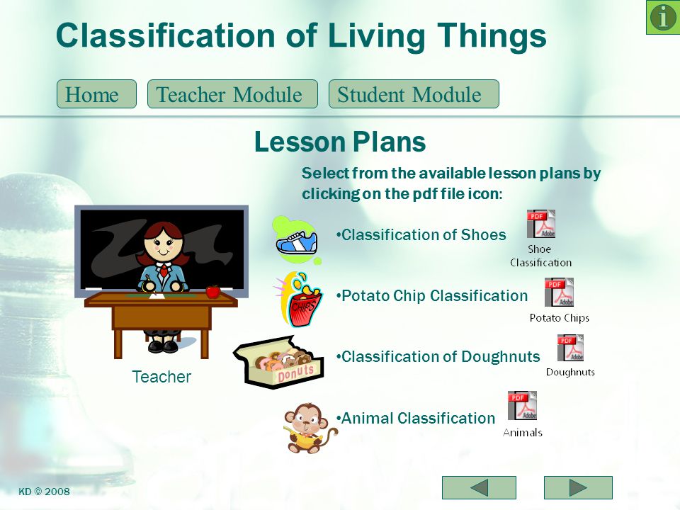 Classification of Living Things - ppt download