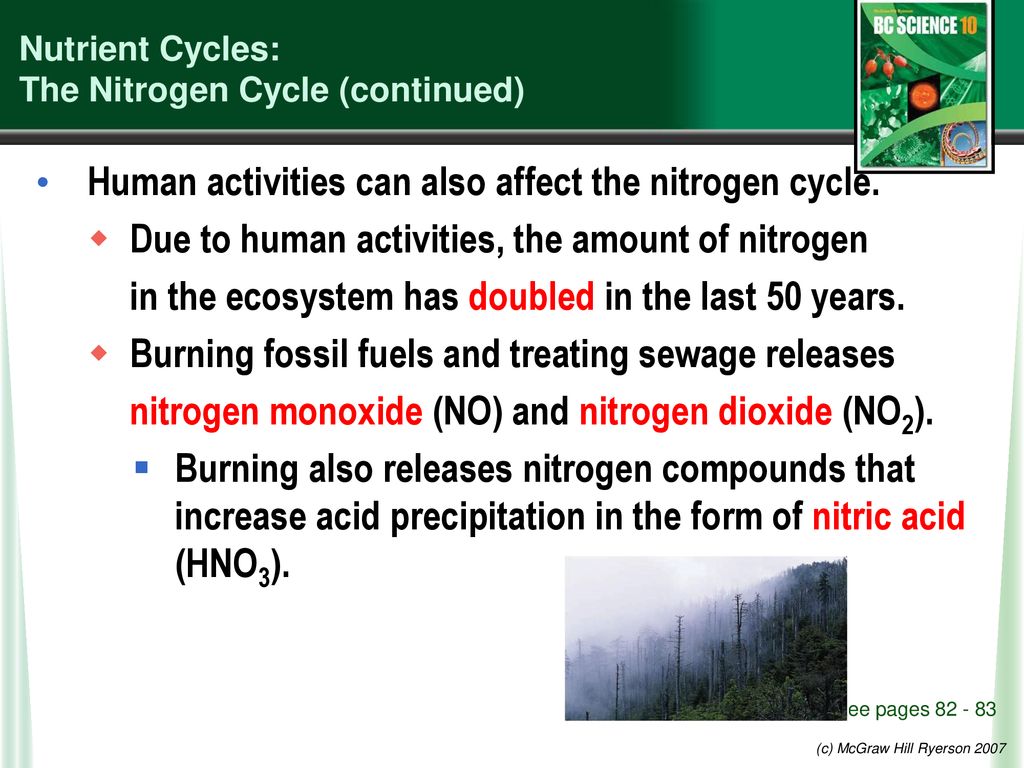 2.2 Nutrient Cycles in Ecosystems Biology Diagrams