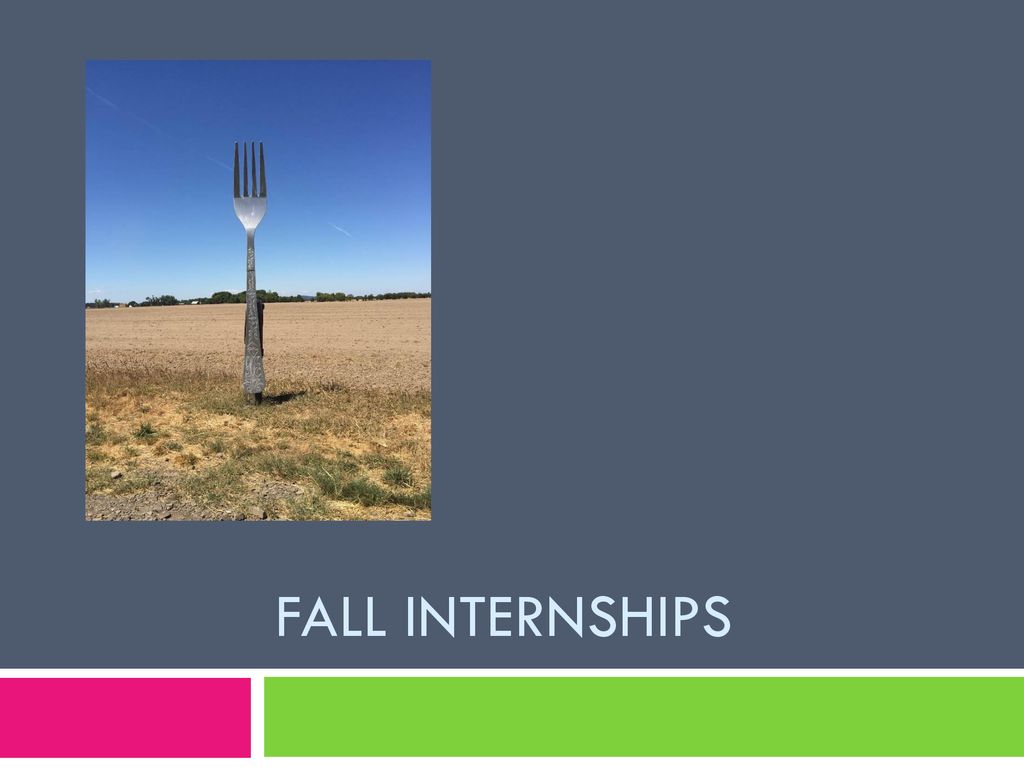 Fall Internships. ppt download