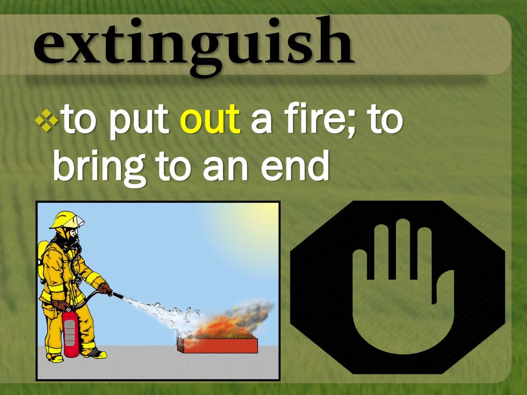 Word List; e, ex out, out of, outside Grasslands (Basic) ppt download
