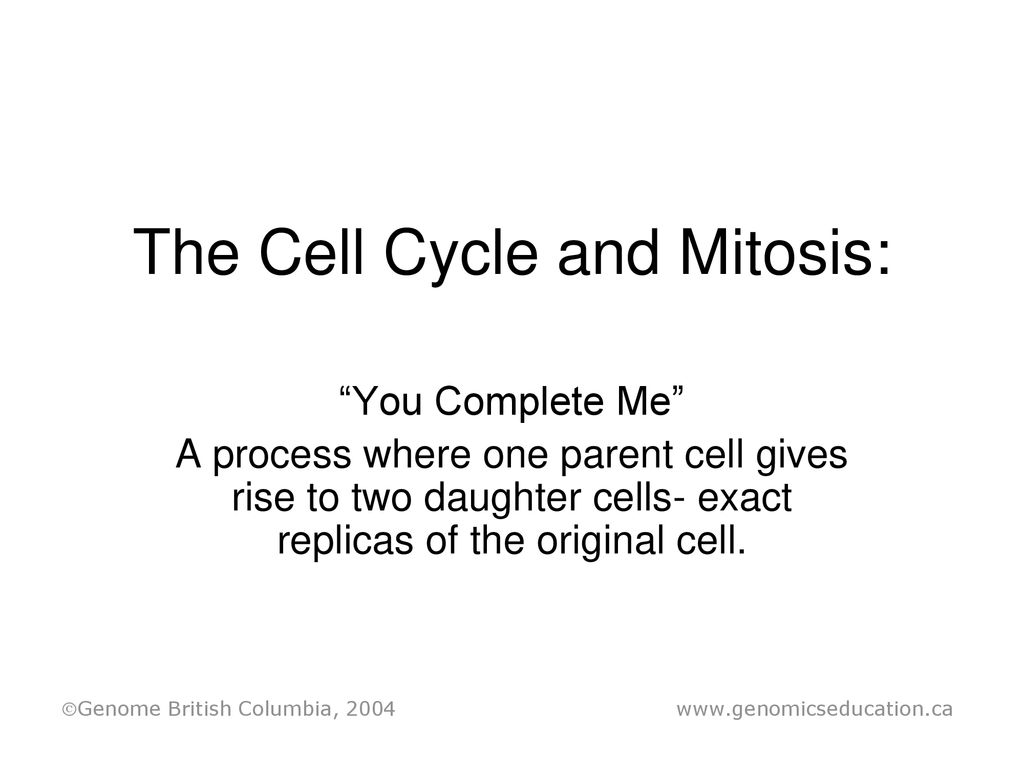 The Cell Cycle and Mitosis: Biology Diagrams