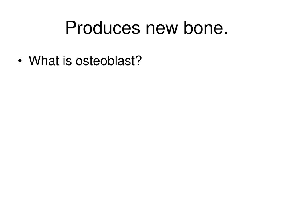 Produces new bone. What is osteoblast