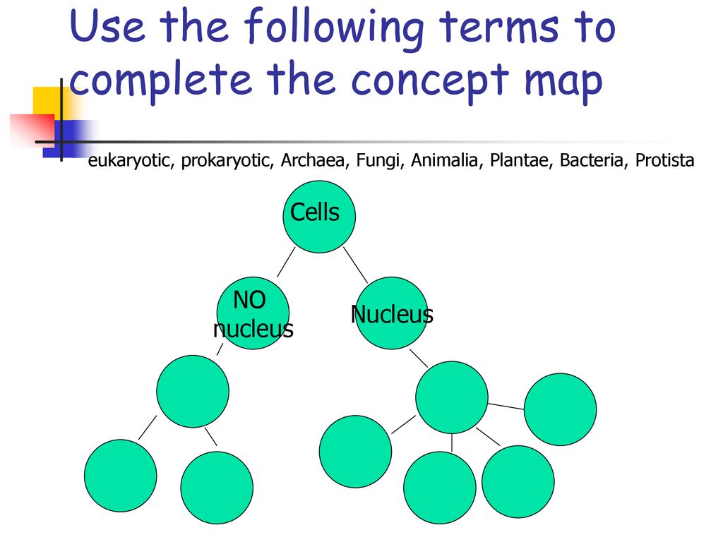 Use The Following Terms To Complete The Concept Map Ppt Download