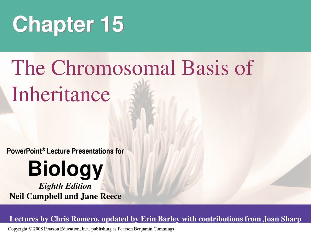 The Chromosomal Basis Of Inheritance - Ppt Download