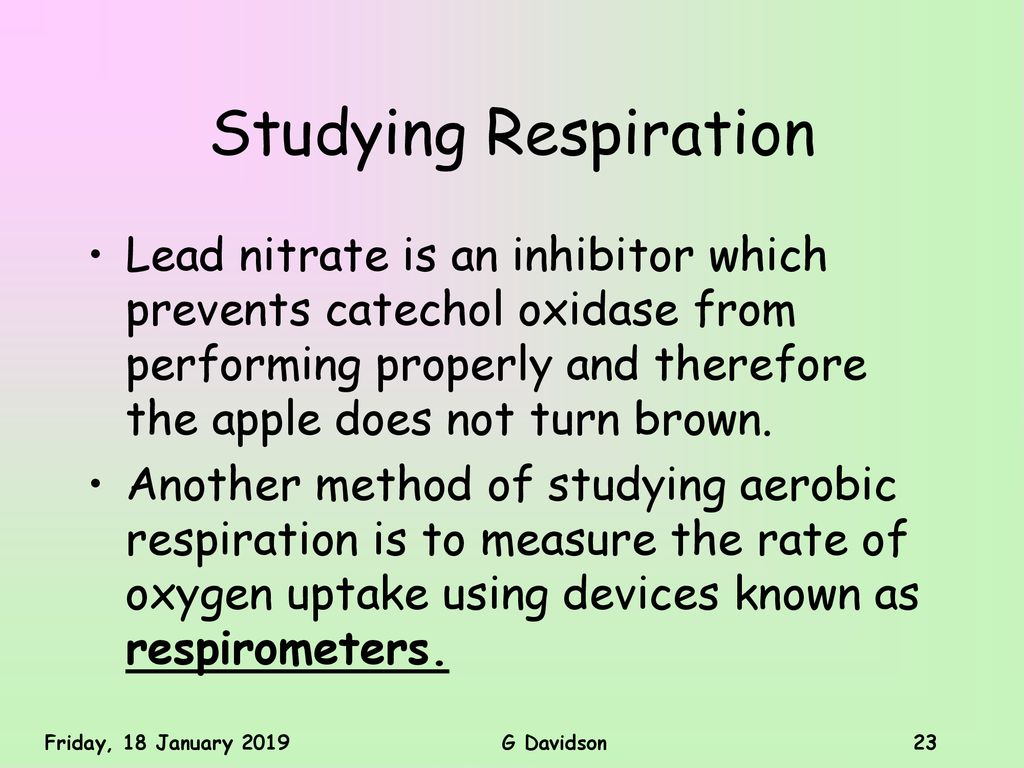 Studying Respiration