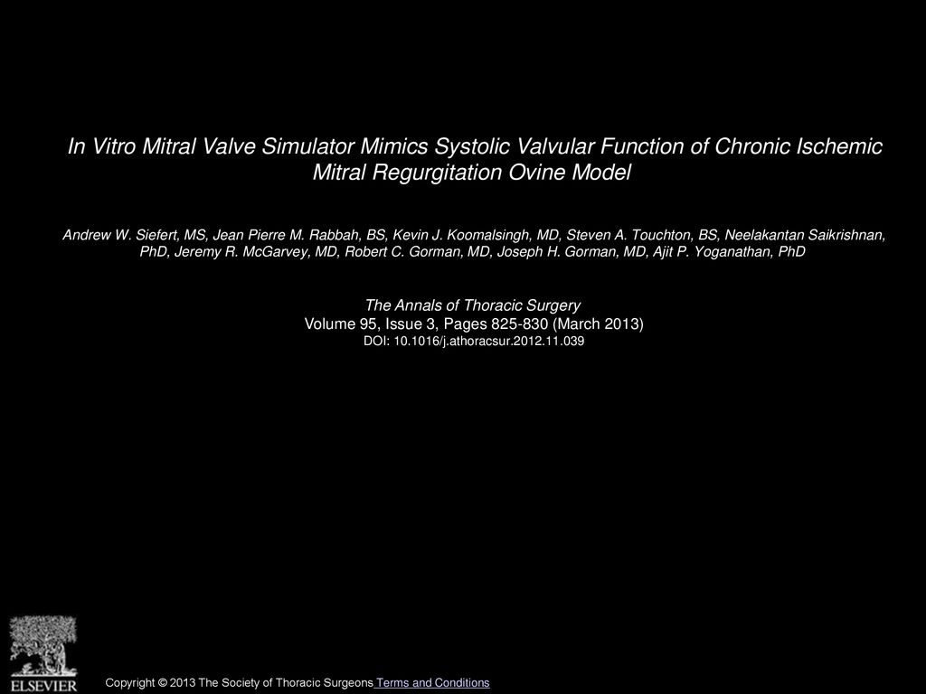 In Vitro Mitral Valve Simulator Mimics Systolic Valvular Function of Chronic Ischemic Mitral Regurgitation Ovine Model
