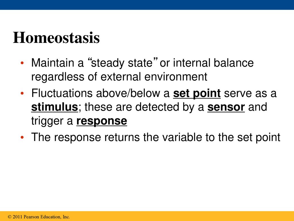 Ch. 40 Warm up Define and give an example of homeostasis. ppt download
