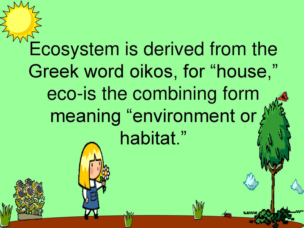 Ecosystems fifth grade science marilyn king edited by lynn garner