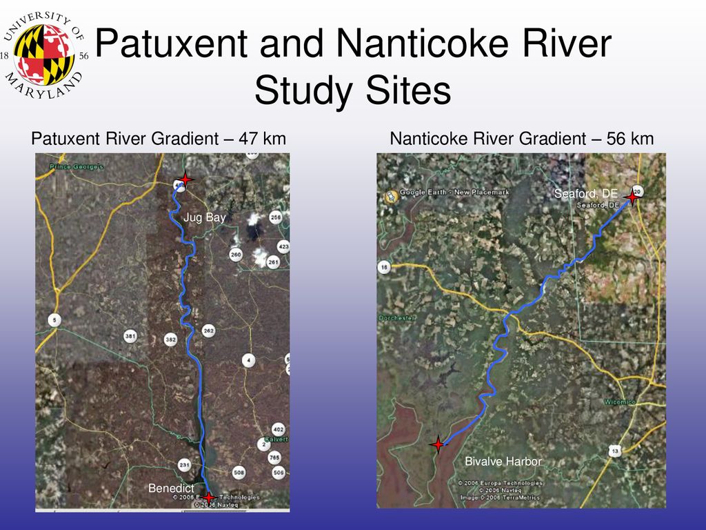 By Peter Sharpe and Andrew H. Baldwin The University of Maryland - ppt ...