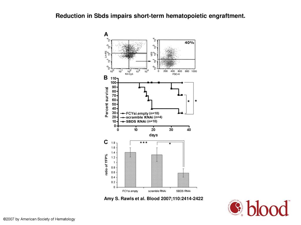 Reduction in Sbds impairs short-term hematopoietic engraftment.