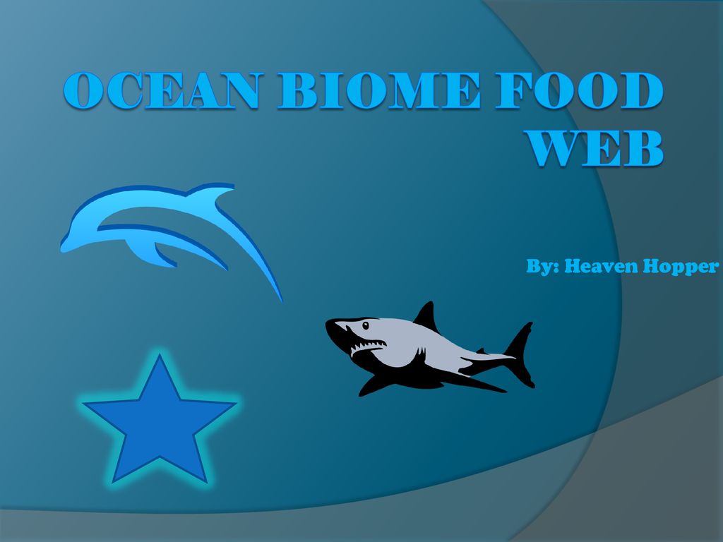 Ocean Biome Food Web By: Heaven Hopper