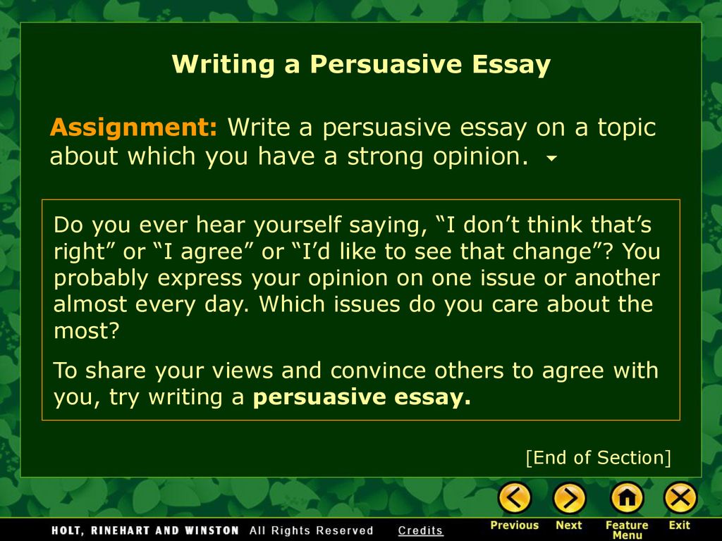 Writing Workshop Writing A Persuasive Essay Ppt Download writing-workshop-writing-a-persuasive-essay-ppt-download