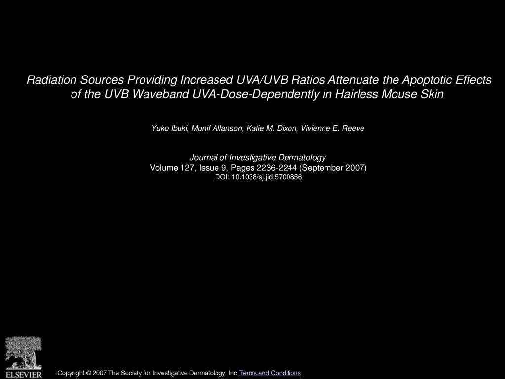 Radiation Sources Providing Increased UVA/UVB Ratios Attenuate the Apoptotic Effects of the UVB Waveband UVA-Dose-Dependently in Hairless Mouse Skin