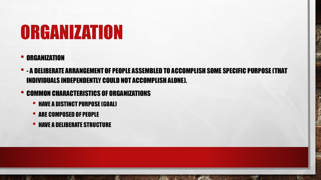 Organization Organization