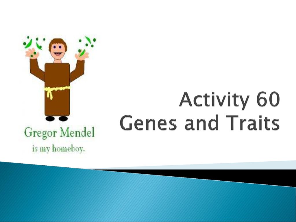 Activity 60 Genes and Traits