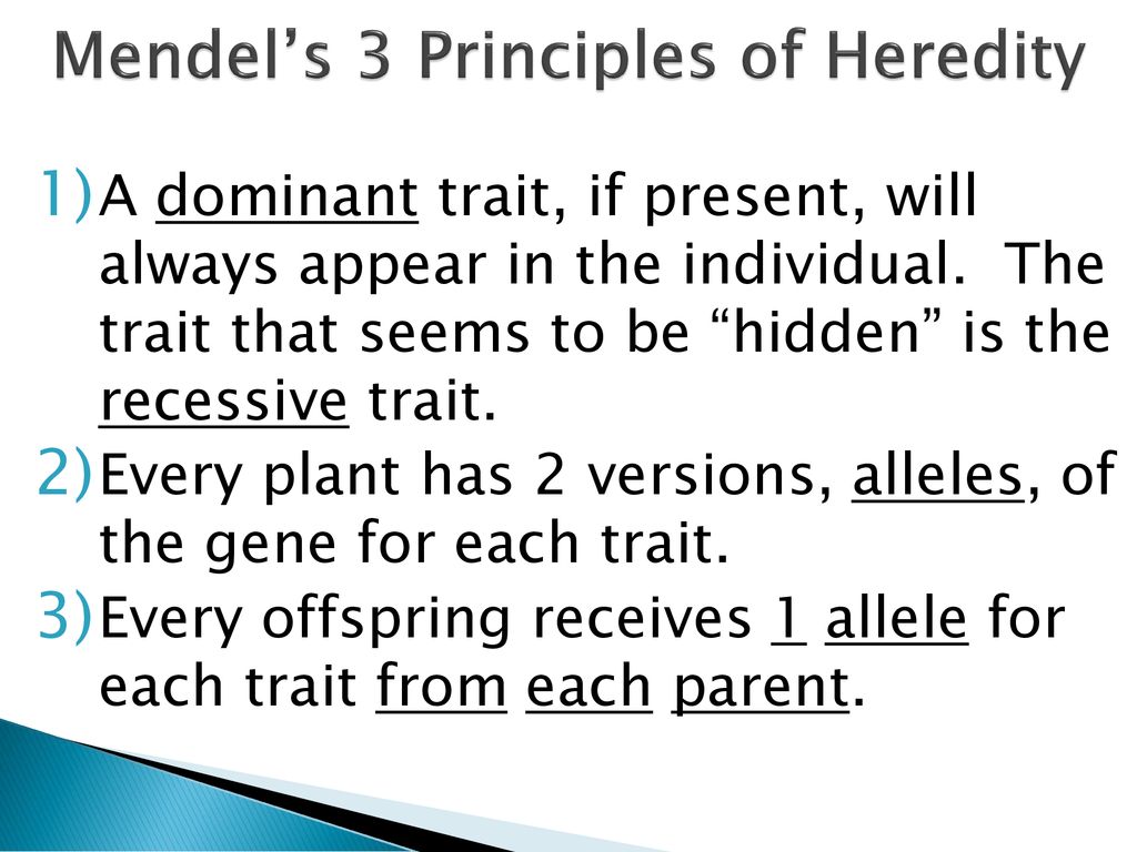 Mendel’s 3 Principles of Heredity
