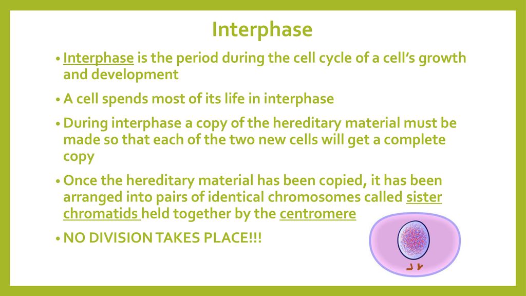 Cell cycle Mitosis. Biology Diagrams