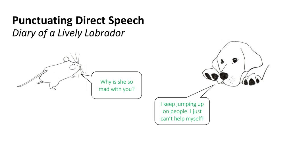Punctuating Direct Speech Diary of a Lively Labrador