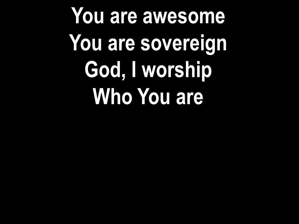 You are awesome You are sovereign God, I worship Who You are