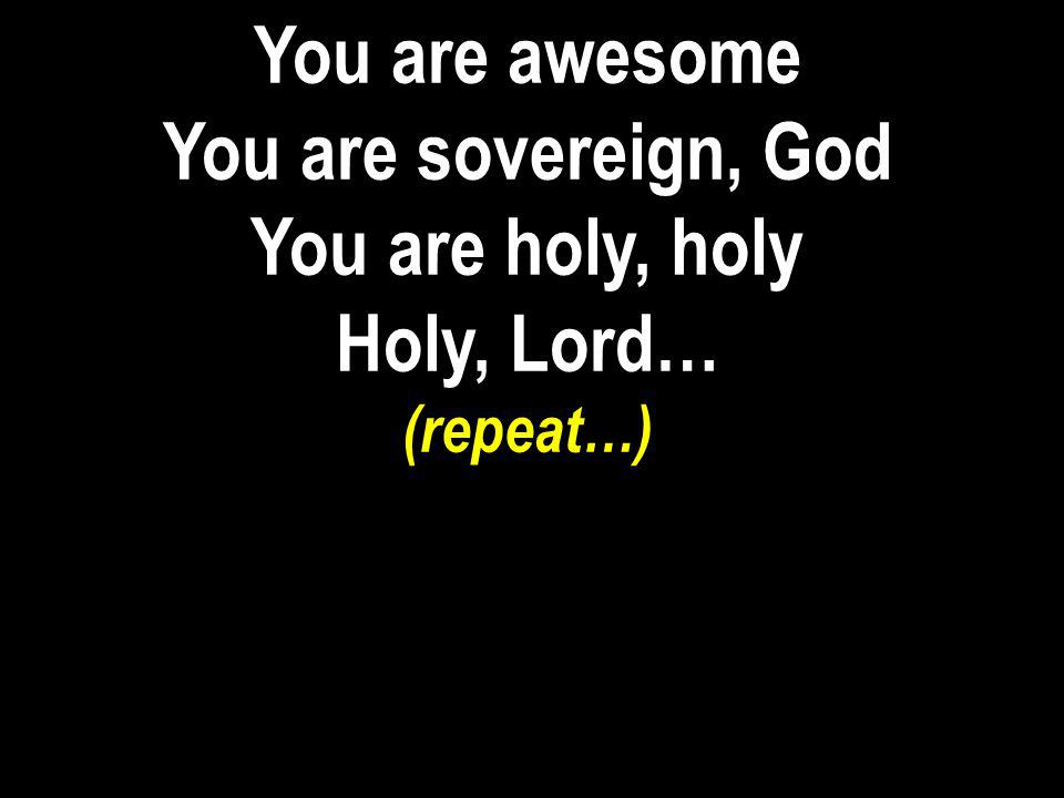You are awesome You are sovereign, God You are holy, holy Holy, Lord…
