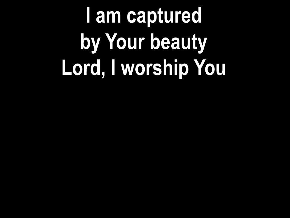 I am captured by Your beauty Lord, I worship You