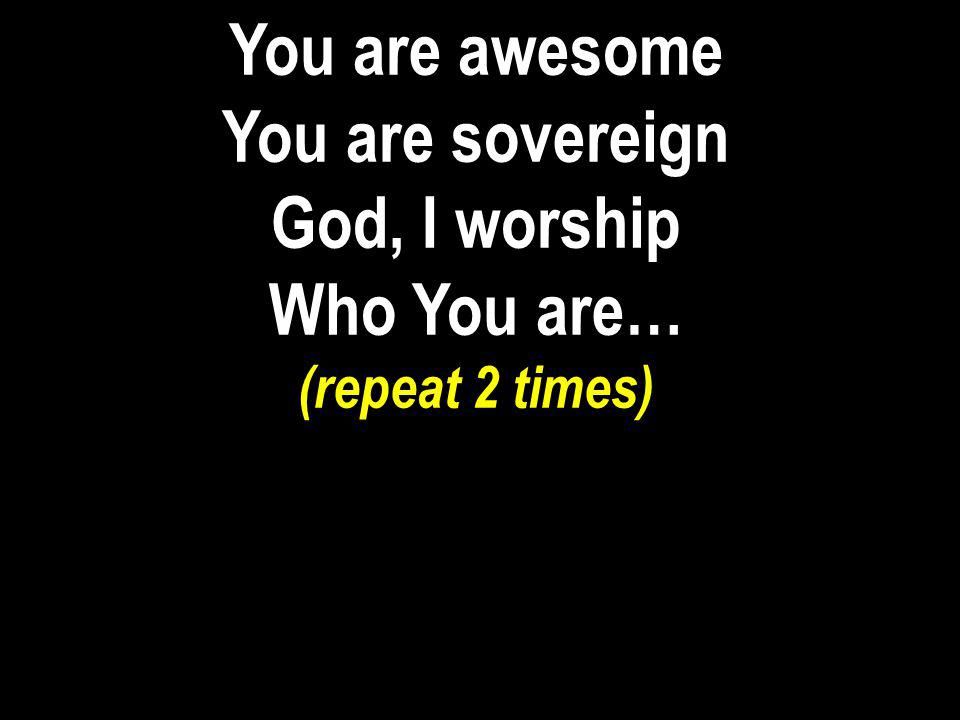 You are awesome You are sovereign God, I worship Who You are…
