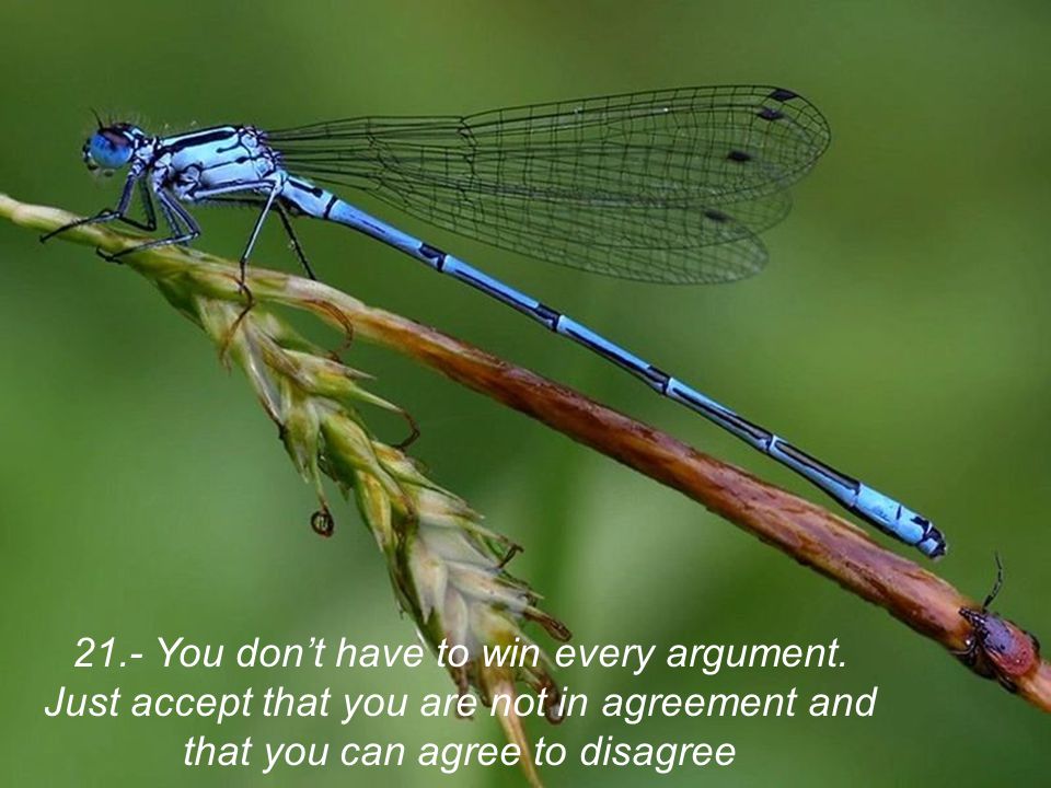 21. - You don’t have to win every argument