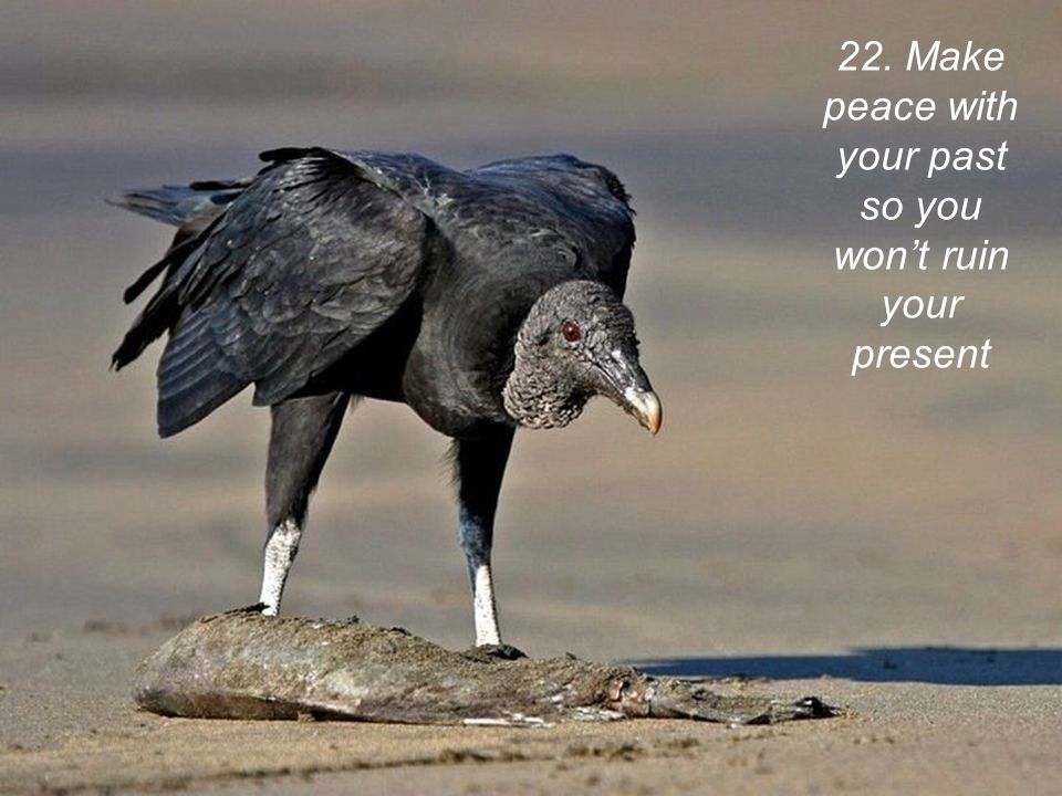 22. Make peace with your past so you won’t ruin your present