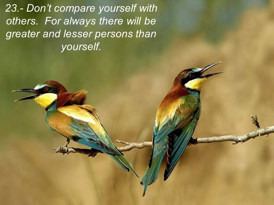 23. - Don’t compare yourself with others