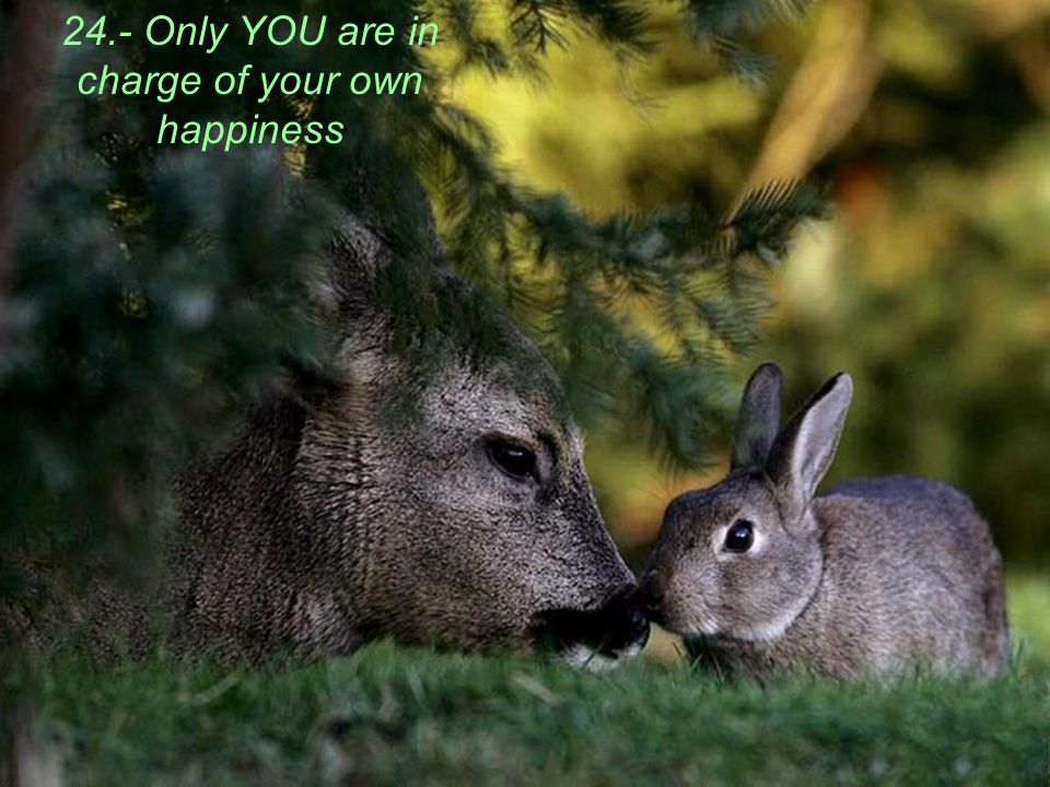 24.- Only YOU are in charge of your own happiness