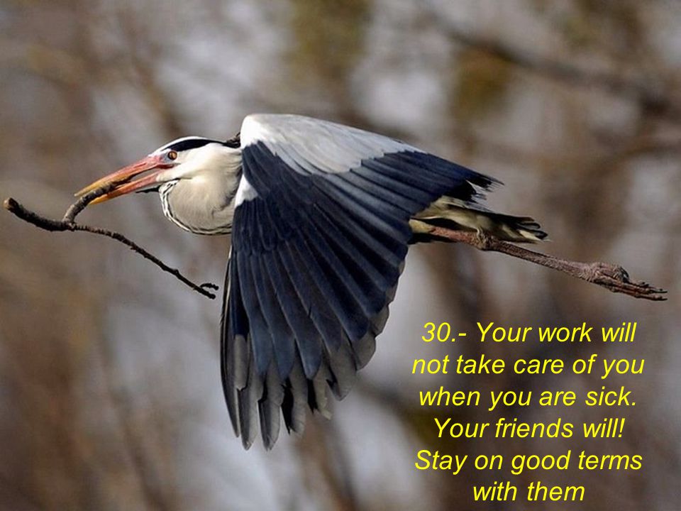 30. - Your work will not take care of you when you are sick
