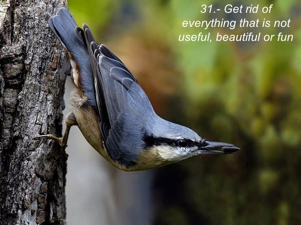 31.- Get rid of everything that is not useful, beautiful or fun
