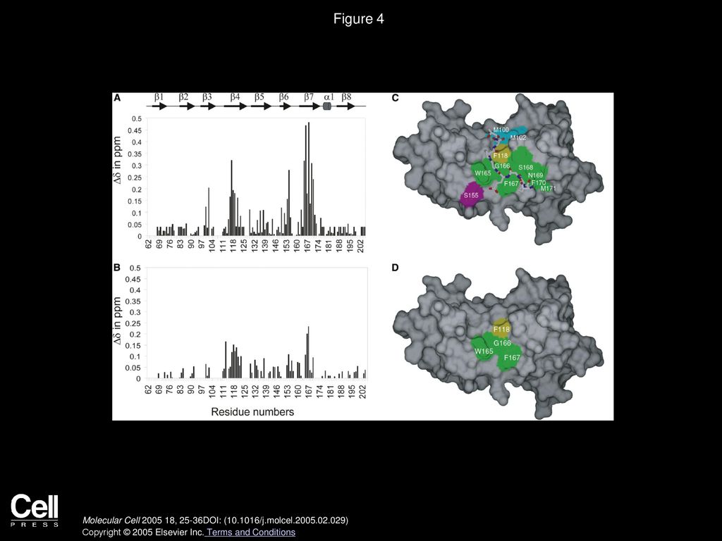 Figure 4 Comparison of the Changes in NMR Resonance Frequencies of USP7 upon Binding EBNA1 and p53 Peptides.