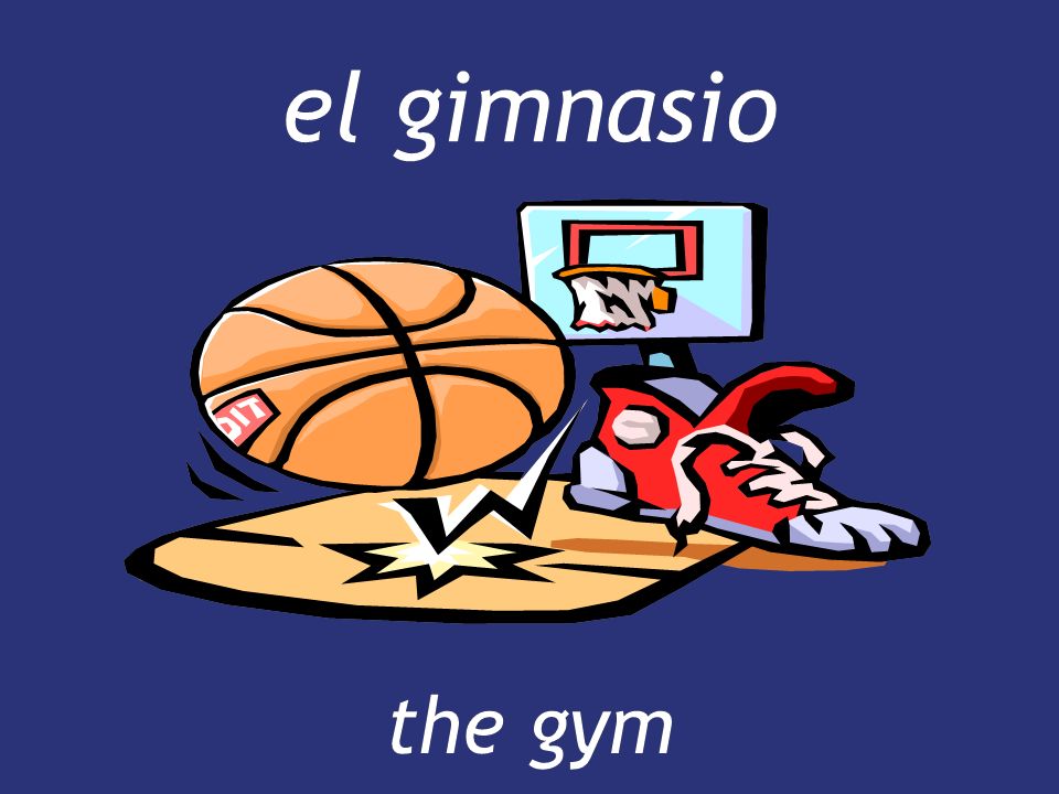 el gimnasio the gym