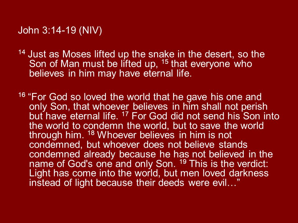 John 3:14-19 (NIV)
