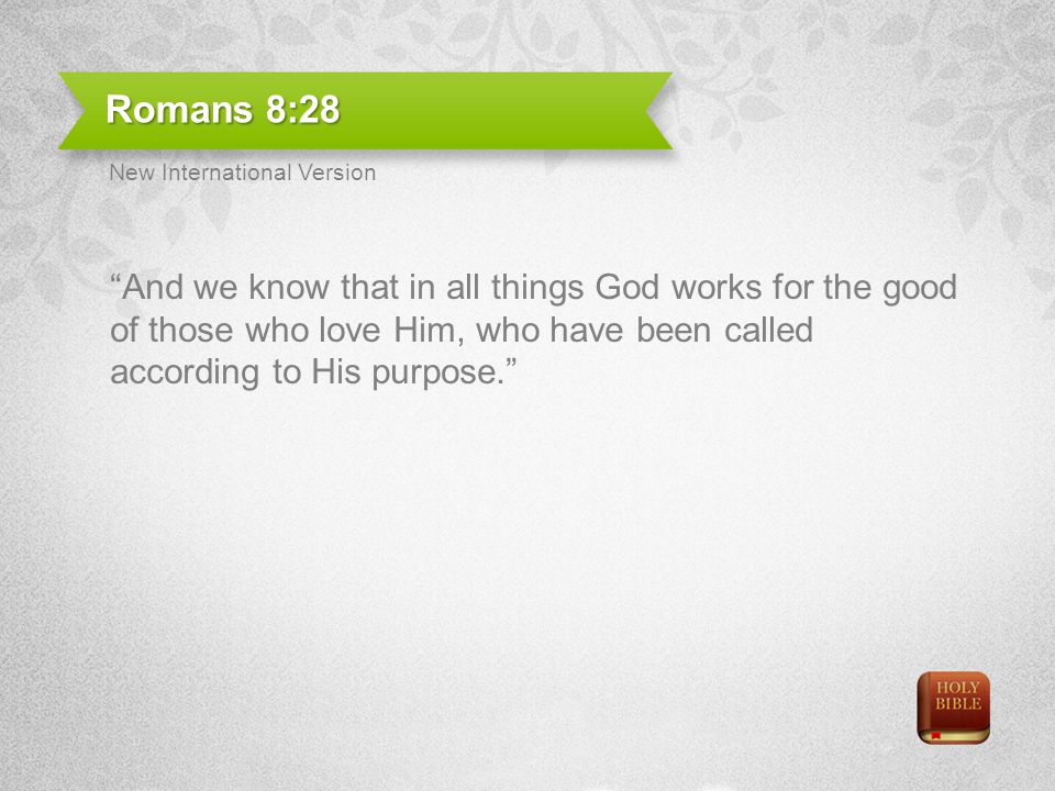 Romans 8:28 New International Version.