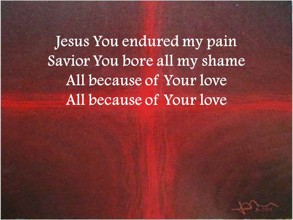 Jesus You endured my pain