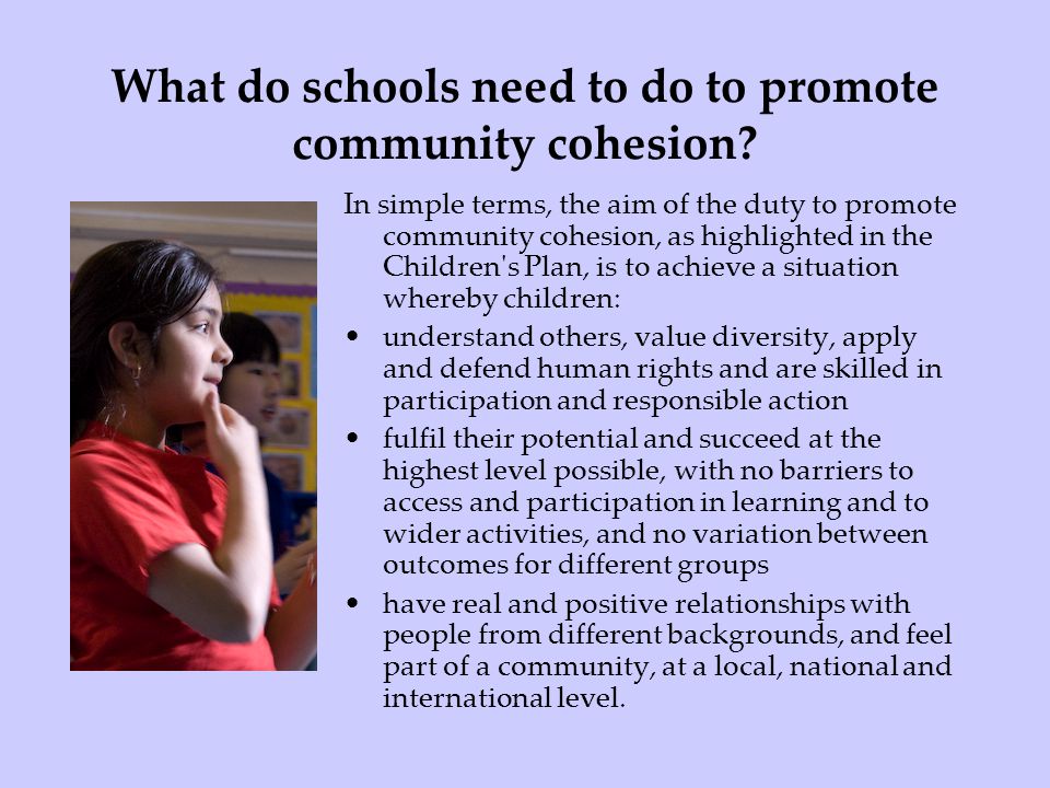 What do schools need to do to promote community cohesion
