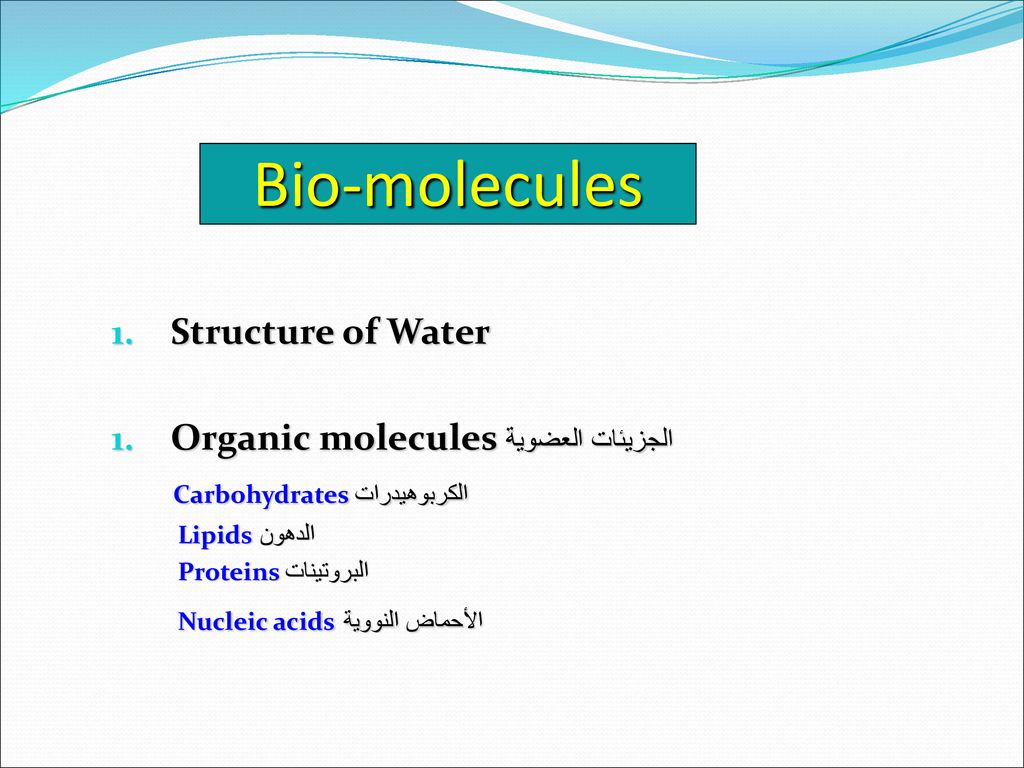 Bio-molecules Structure of Water Organic molecules الجزيئات العضوية