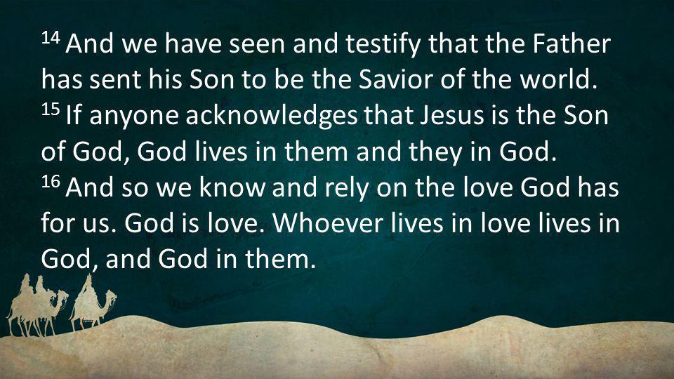 14 And we have seen and testify that the Father has sent his Son to be the Savior of the world.