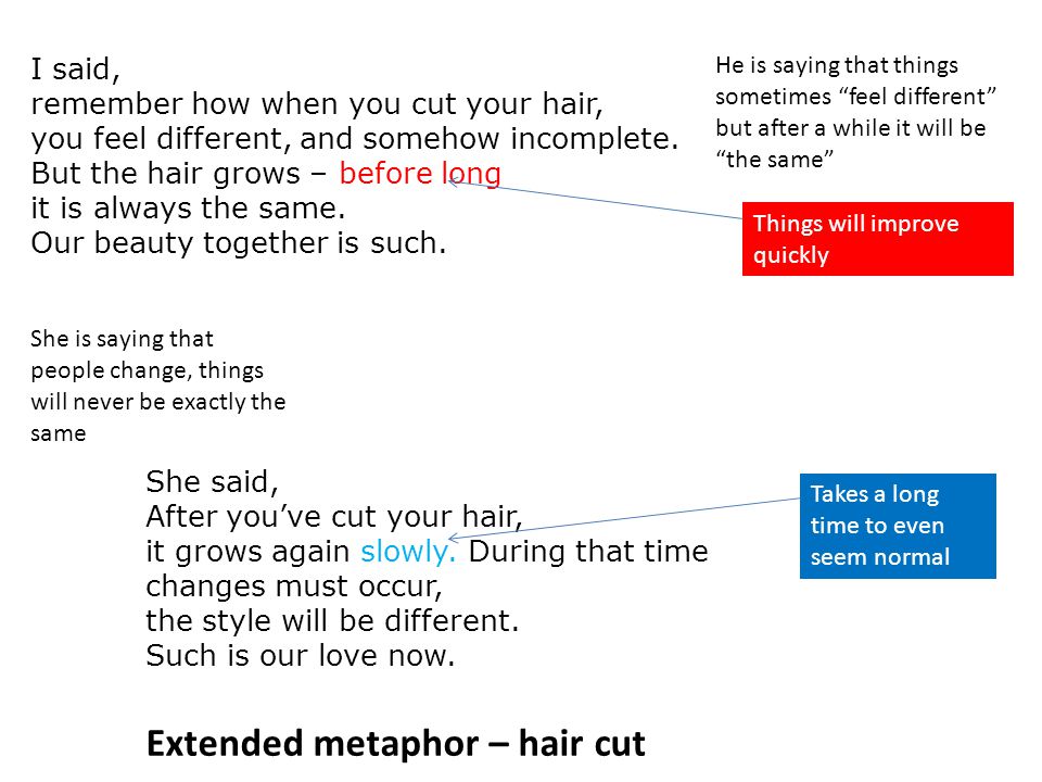 Extended metaphor – hair cut
